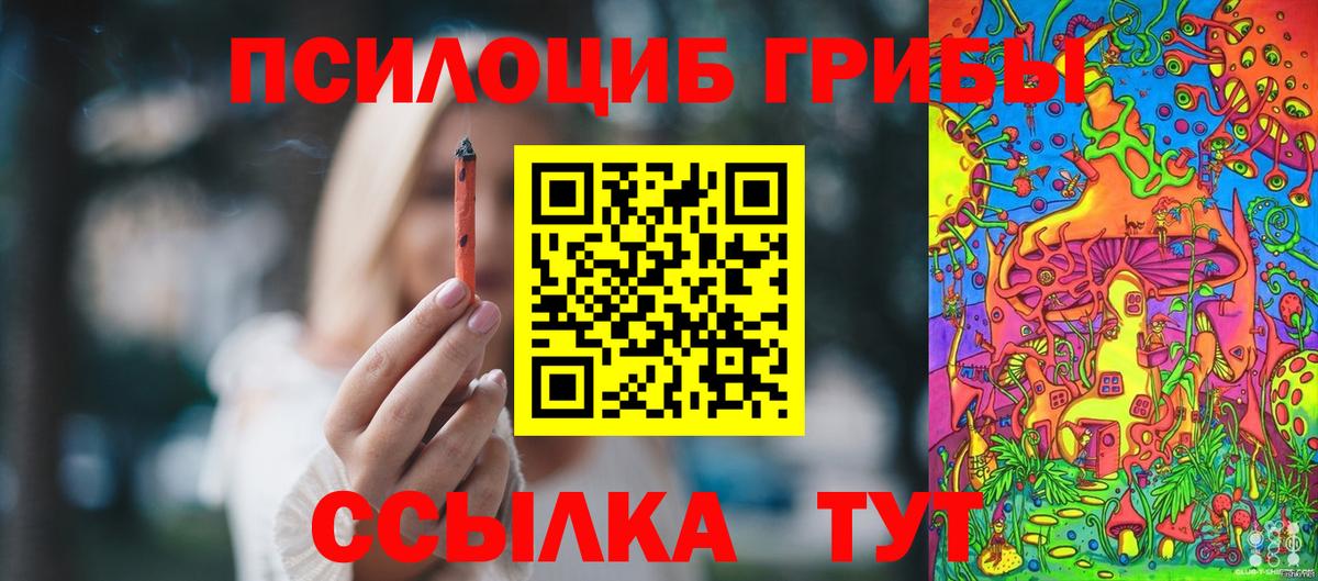 Псилоцибиновые грибы MAGIC MUSHROOMS Рубцовск